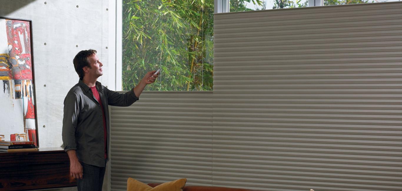 Salas de estar- Cortina Duette HunterDouglas